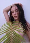 arilaviee exclusive onlyfans leaked nudes